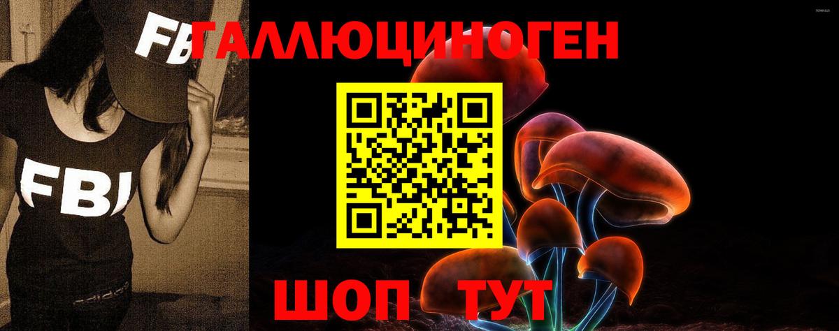 Псилоцибиновые грибы Psilocybe  Вход с VPN  Архангельск 